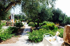 thumbnail: General view