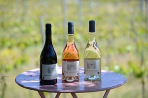 thumbnail: Food and drink