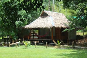 thumbnail: Garden