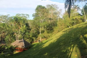 thumbnail: Property grounds