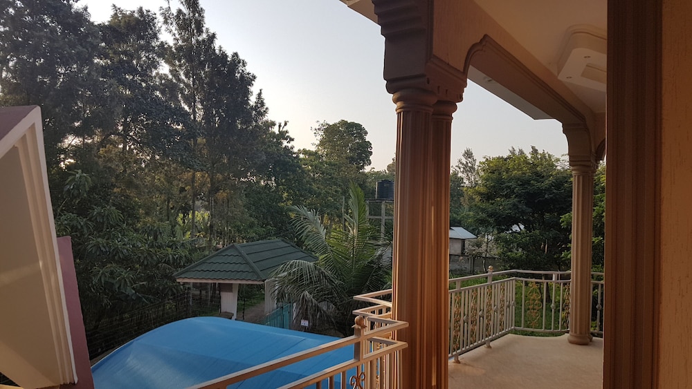 View from room
