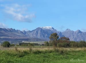 thumbnail: Land view from property