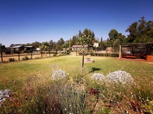 thumbnail: BBQ/picnic area