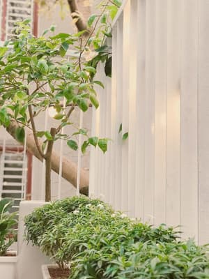 thumbnail: Exterior