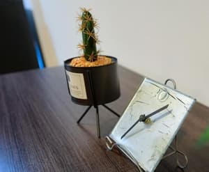 thumbnail: Interior detail