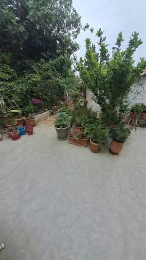 thumbnail: Garden view