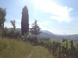 thumbnail: General view