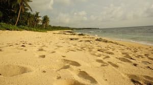 thumbnail: Beach