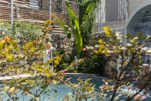 thumbnail: Garden