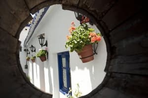 thumbnail: Interior detail