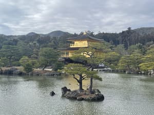 thumbnail: Land view from property