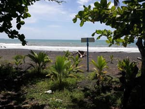 thumbnail: Beach