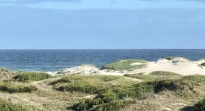 thumbnail: Beach