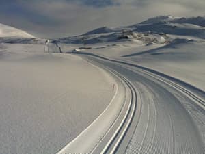 thumbnail: Skiing