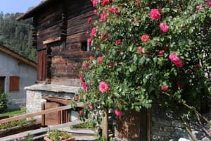 thumbnail: Garden