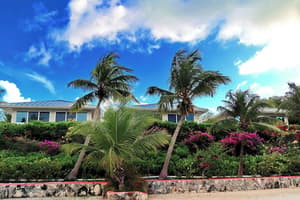 thumbnail: Garden view