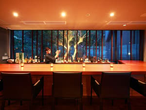 thumbnail: Bar (on property)