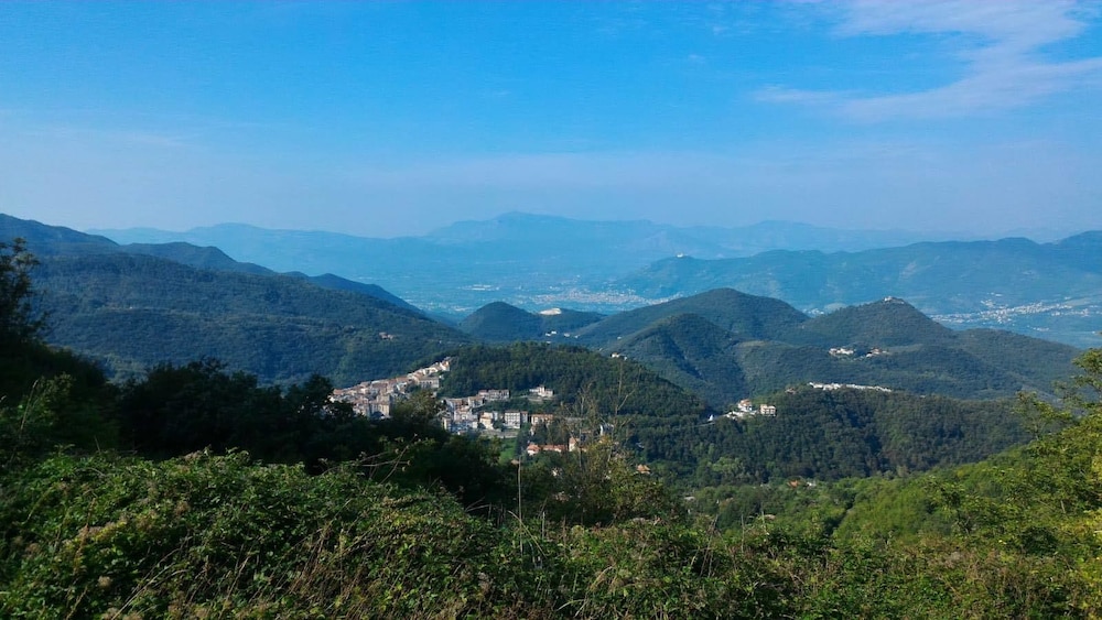 Land view from property