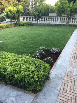 thumbnail: Garden