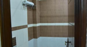 thumbnail: 294347063.jpg