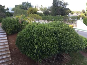 thumbnail: Property grounds