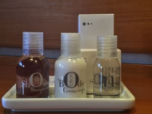 thumbnail: Bathroom amenities