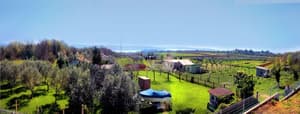 thumbnail: Aerial view