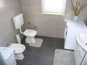 thumbnail: 259530190.jpg