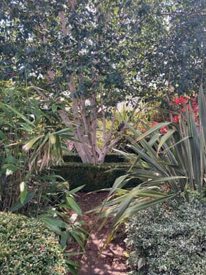 thumbnail: General view