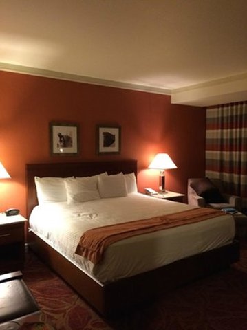 DELUXE KING ROOM
