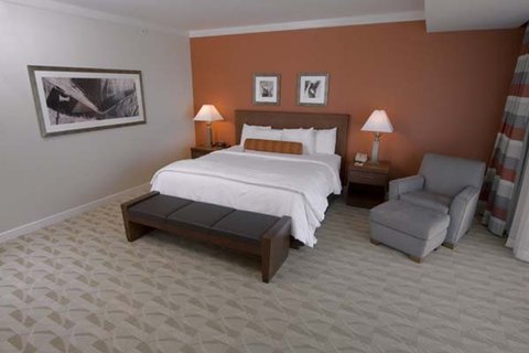 VIP KING SUITE