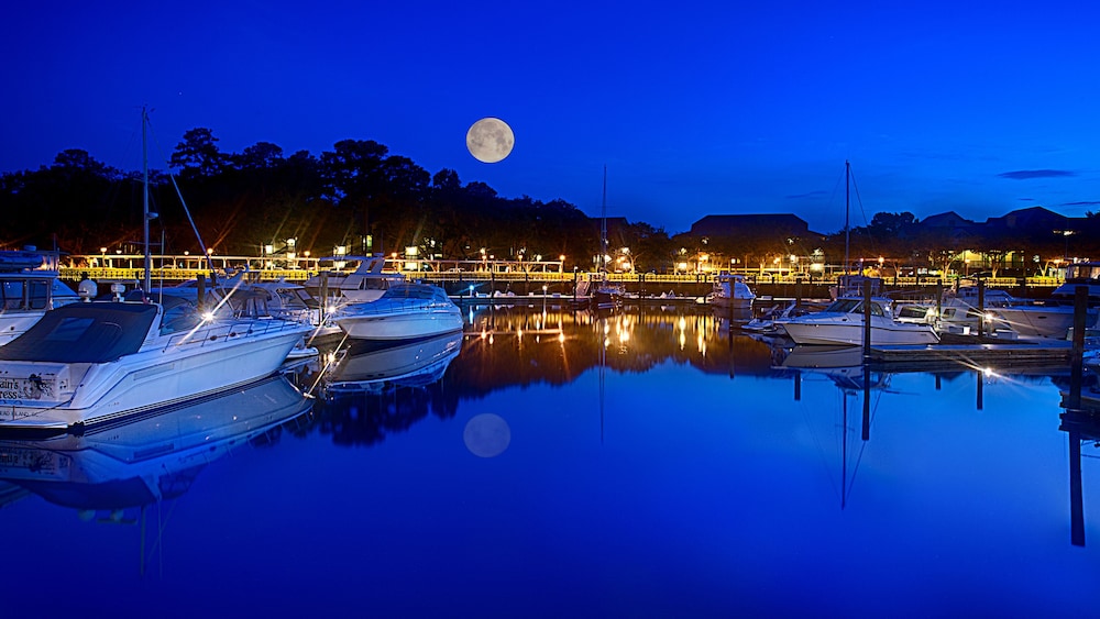 Dock