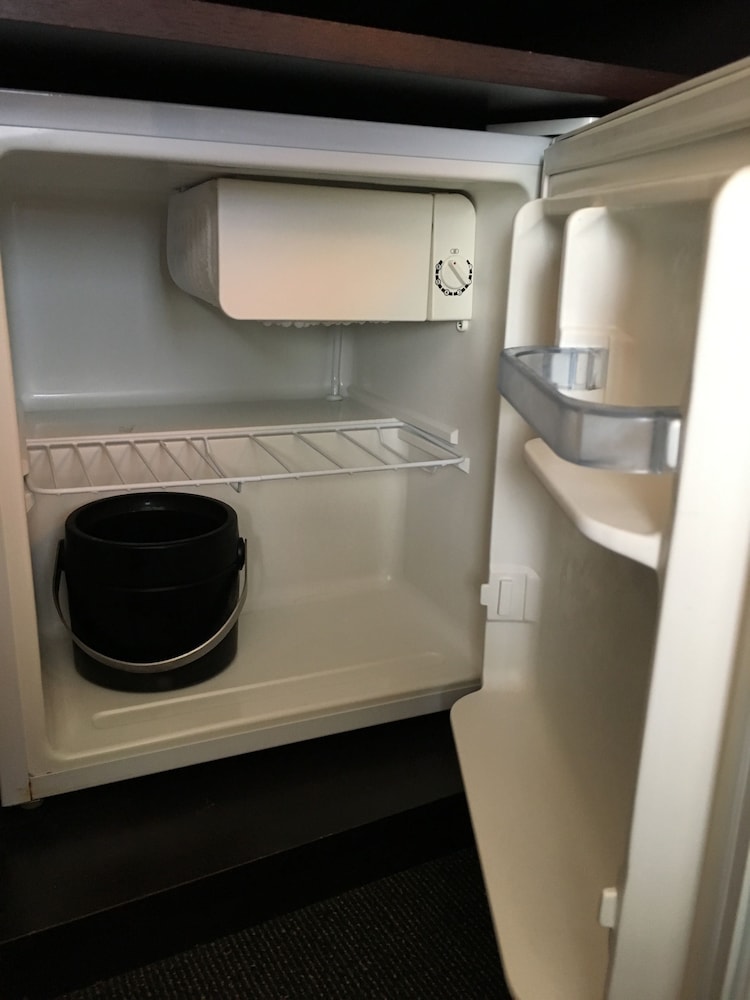 Mini-refrigerator