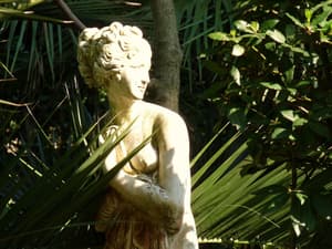 thumbnail: Garden