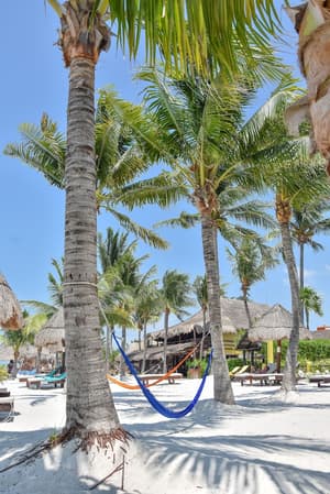 thumbnail: Beach