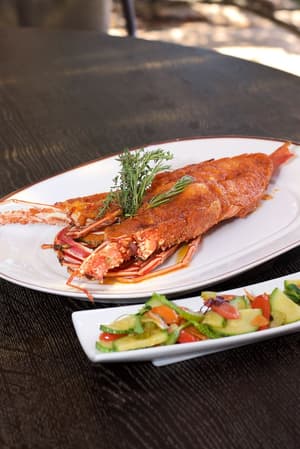 thumbnail: Dining