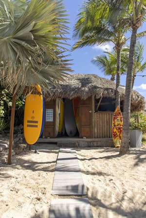 thumbnail: Surfing/boogie boarding