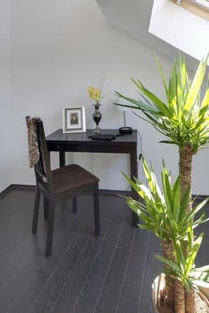 thumbnail: Interior