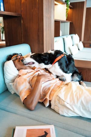 thumbnail: Pet-friendly