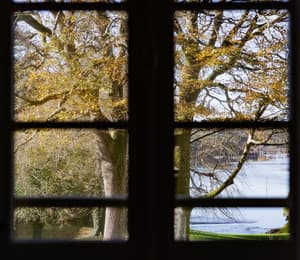 thumbnail: Interior