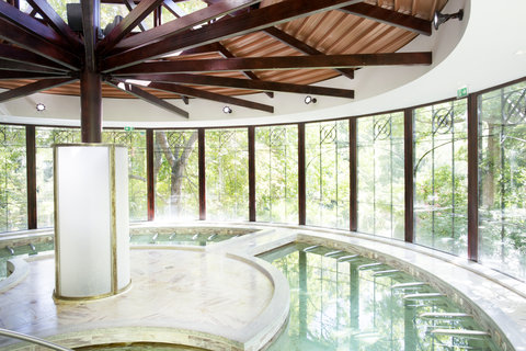 Spa Pool