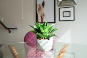 thumbnail: Interior detail
