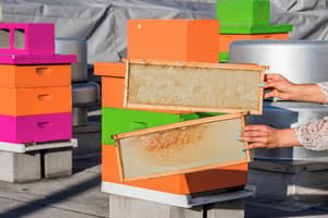 thumbnail: Property amenity