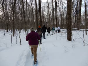 thumbnail: Snowshoeing