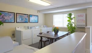 thumbnail: Laundry room