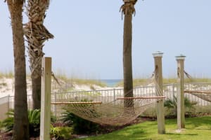 thumbnail: Property grounds