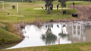 thumbnail: Golf