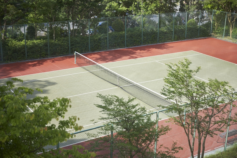 Tennis court