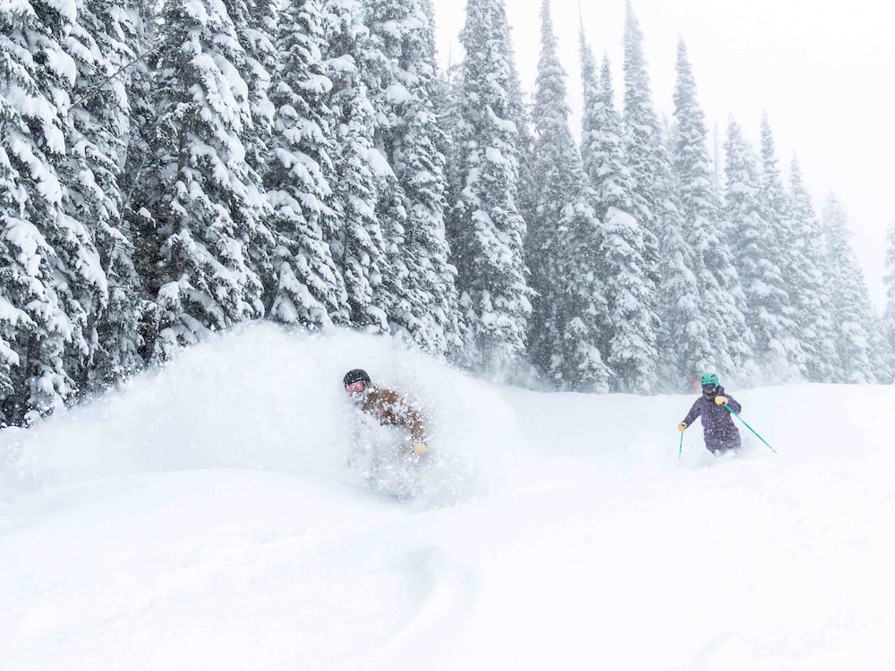 Skiing