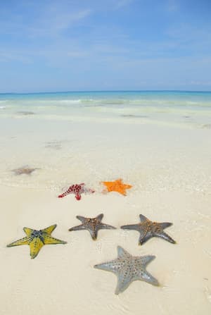 thumbnail: Beach
